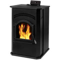 Direct Vent Cast Iron Gas Stove