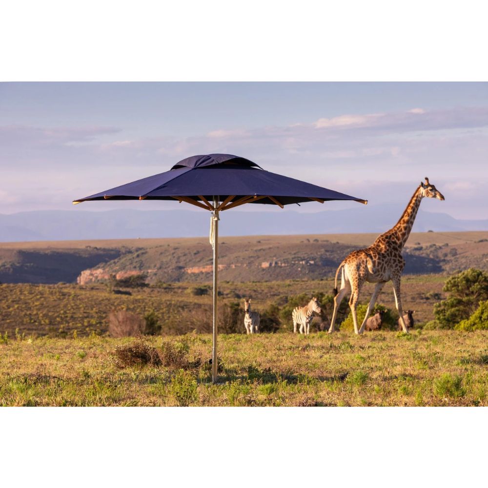 A large navy blue patio umbrella is set up in an open savanna landscape with a giraffe, donkeys, and distant hills under a pale sky.