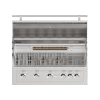 Videl Series 42" 5 Burner Built-In Grill